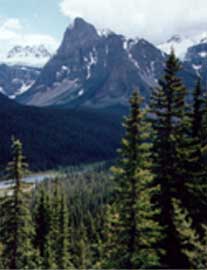 Wave Mountain